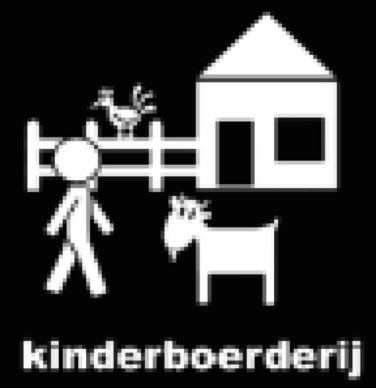 activiteit-