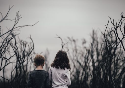 artikel-242